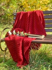 Cozy red blanket and open book resting on a bench surrounded by vibrant autumn scenery