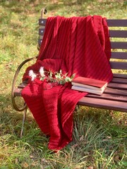 Cozy red blanket and books on a wooden bench in a serene park during autumn