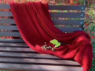 Cozy red blanket draped over wooden bench in autumn park surrounded by colorful leaves