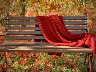 Cozy red blanket draped over a bench in a serene autumn park filled with colorful leaves