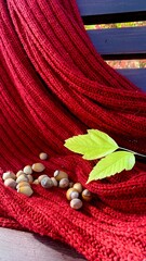 Cozy red fabric draped with acorns and green leaves creating a warm autumn scene