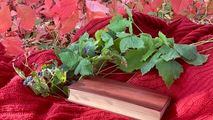 Rich autumn setting with a book and colorful leaves highlighting the beauty of nature and cozy reading moments