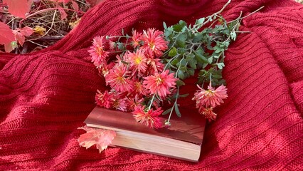 Beautiful autumn scene with flowers and a cozy book on a red blanket in a natural setting