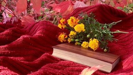 Colorful flowers and a book resting on a cozy red blanket in an autumn setting