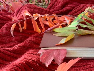 Colorful autumn leaves resting on a book surrounded by a cozy knitted blanket in a serene outdoor setting