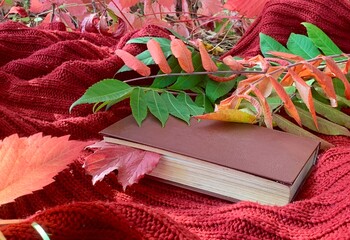 Cozy autumn scene with a book surrounded by colorful leaves and a warm blanket