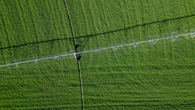 Stock image of agriculture and farming in Nevada.
Aerial view of the farmer’s green field at sunrise.
Agriculture: Green Crop Irrigation.
A farmer keeps his field green and lush with a huge sprinkler.