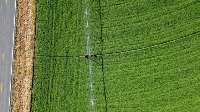 Stock image of agriculture and farming in Nevada.
Aerial view of the farmer’s green field at sunrise.
Agriculture: Green Crop Irrigation.
A farmer keeps his field green and lush with a huge sprinkler. - Powered by Adobe