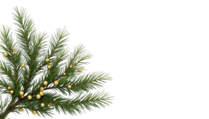 Festive evergreen branch with golden Christmas lights