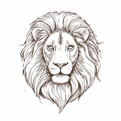 Obraz premium Lion head illustration – realistic hand-drawn sketch of lion face for graphic design
