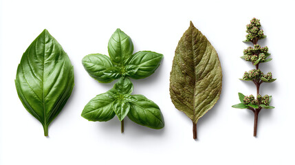 A close-up view of fresh basil leaves, showcasing their vibrant green hues and intricate textures