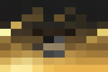 Pixelated abstract representation of a dark, possibly animallike face or shape against a gradient background of brown and yellow tones