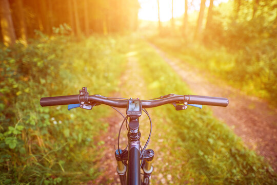 Cyclist rides through lush green forest