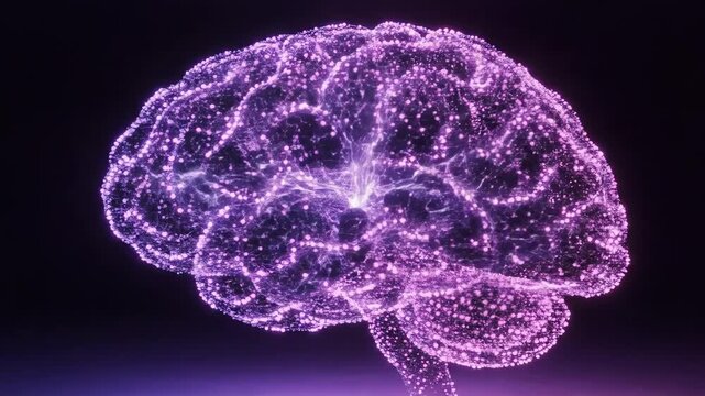A mesmerizing display captures the intricate beauty of the human brain, illuminated with glowing particles and vibrant colors. Each frame highlights the complexity of thought and creativity.