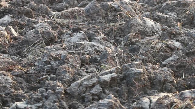 Fertile soil prepared for spring planting on arable agricultural farmland