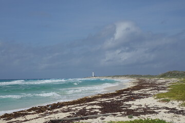 Fototapeta premium Punta Sur Eco Beach Park, Cozumel Island, Mexico - Lighthouse