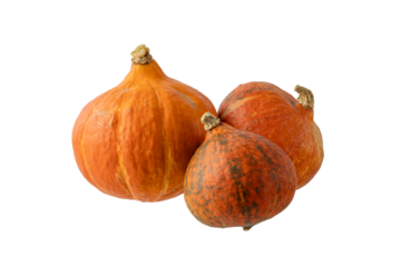 Three fresh harvesting edible raw pumpkin Hokkaido isolated on white background. Seasonal ripe autumn vegetable.