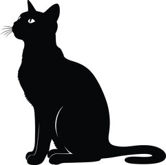 Elegant black cat silhouette vector illustration, sitting domestic feline animal profile icon with whiskers for pet design and logo.