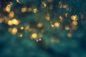 Dreamy christmas pine branches with golden bokeh lights in soft blurred festive background