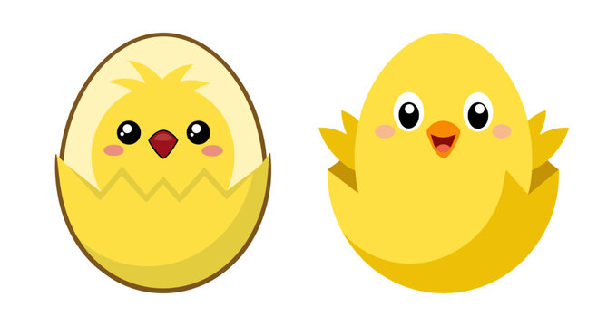 Cute yellow chick peeping out of egg and standing alone