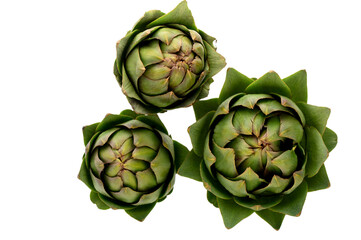 Three Artichokes Overhead View on White Background
