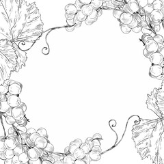 Round wreath of grapes in black and white. Vector graphics, black and white hand-drawn frame with copy space for menu design, cosmetic, cookbooks, restaurant design, alcoholic beverages, labels