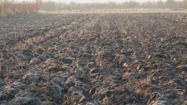 Fertile soil prepared for spring planting on arable agricultural farmland