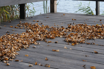 Dried leaves on a wooden walkway by the lake in autumn.