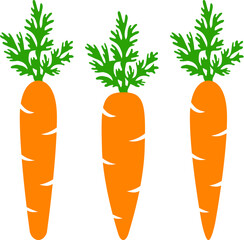 vector set of whole carrots with green top isolated on white background. fresh carrot vegetable for healthy diet