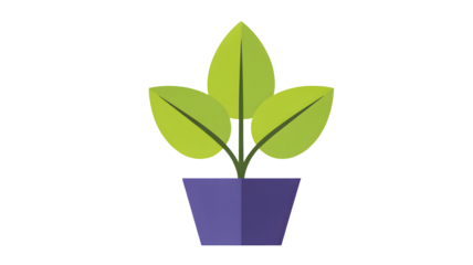 A simple flat design illustration of a green leafy plant growing in a purple pot isolated on transparent background