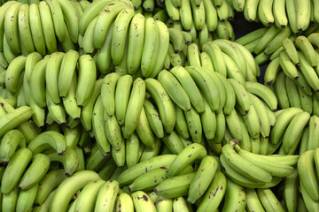 Fresh raw green Caribbean bananas at a market in the Caribbean