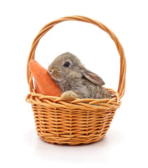 Baby rabbit with carrot in a wicker basket on white background.
