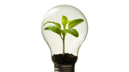 A vibrant green seedling growing inside a clear glass light bulb symbolizing new ideas and sustainable energy solutions isolated on transparent background