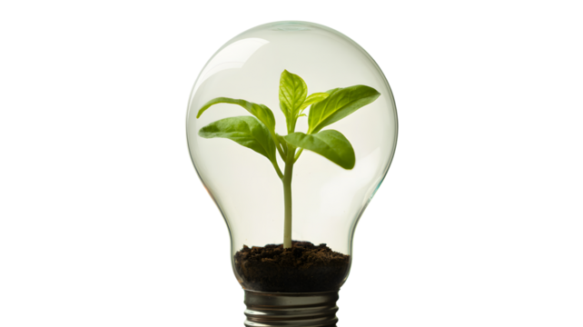 A vibrant green seedling growing inside a clear glass light bulb symbolizing new ideas and sustainable energy solutions isolated on transparent background