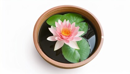 In A Pot Filled With Water A Beautiful Pink Lotus Flower Was Blooming And Green Lotus Leaves On White Background