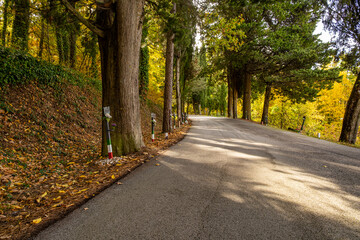 Winding road in Italian countryside lined with memorial markers, autumn foliage, and light shadows. Agnone, Molise, Italy