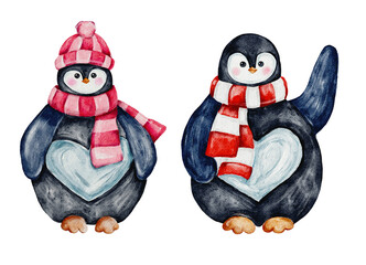 Cute winter penguins watercolor illustration