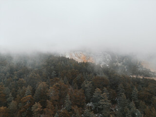 A misty mountain forest wrapped in soft clouds, with warm autumn hues blending into cool tones for a calm, atmospheric scene