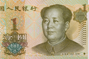 Close Up Portrait and Denomination Detail of Chinese One Yuan Banknote