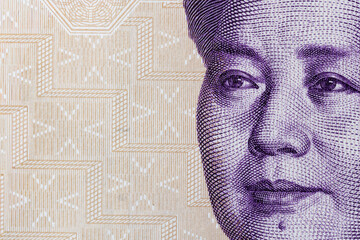 Close Up Portrait and Denomination Detail of Chinese Five Yuan Banknote