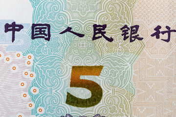 Extreme Macro Detail of Chinese Five Yuan Banknote Showing National Emblem, Serial Number and Denomination