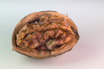Close Up Studio Shot of Cracked Hard Walnut Shell on White