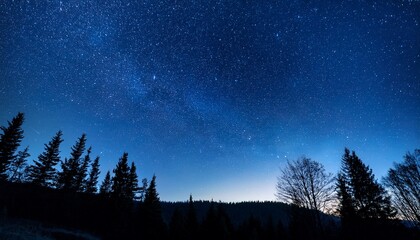 dark blue night sky filled with stars above a tree filled landscape