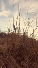 Obraz premium Golden Hour Up North Minnesota