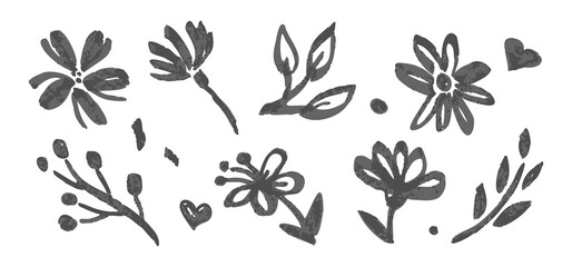 Chamomile childish floral drawings, Botanical elements