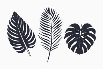 Three minimalist botanical leaf silhouettes create a simple yet elegant natural plant arrangement