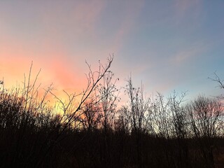 Golden Hour Up North Minnesota