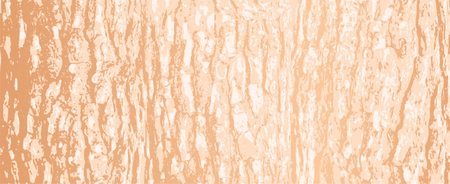 Tree bark background