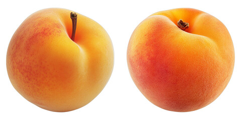 Two ripe peaches in a studio shot. One is slightly more orange, but both fruits look delicious.