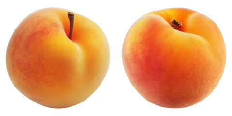Two ripe peaches in a studio shot. One is slightly more orange, but both fruits look delicious.